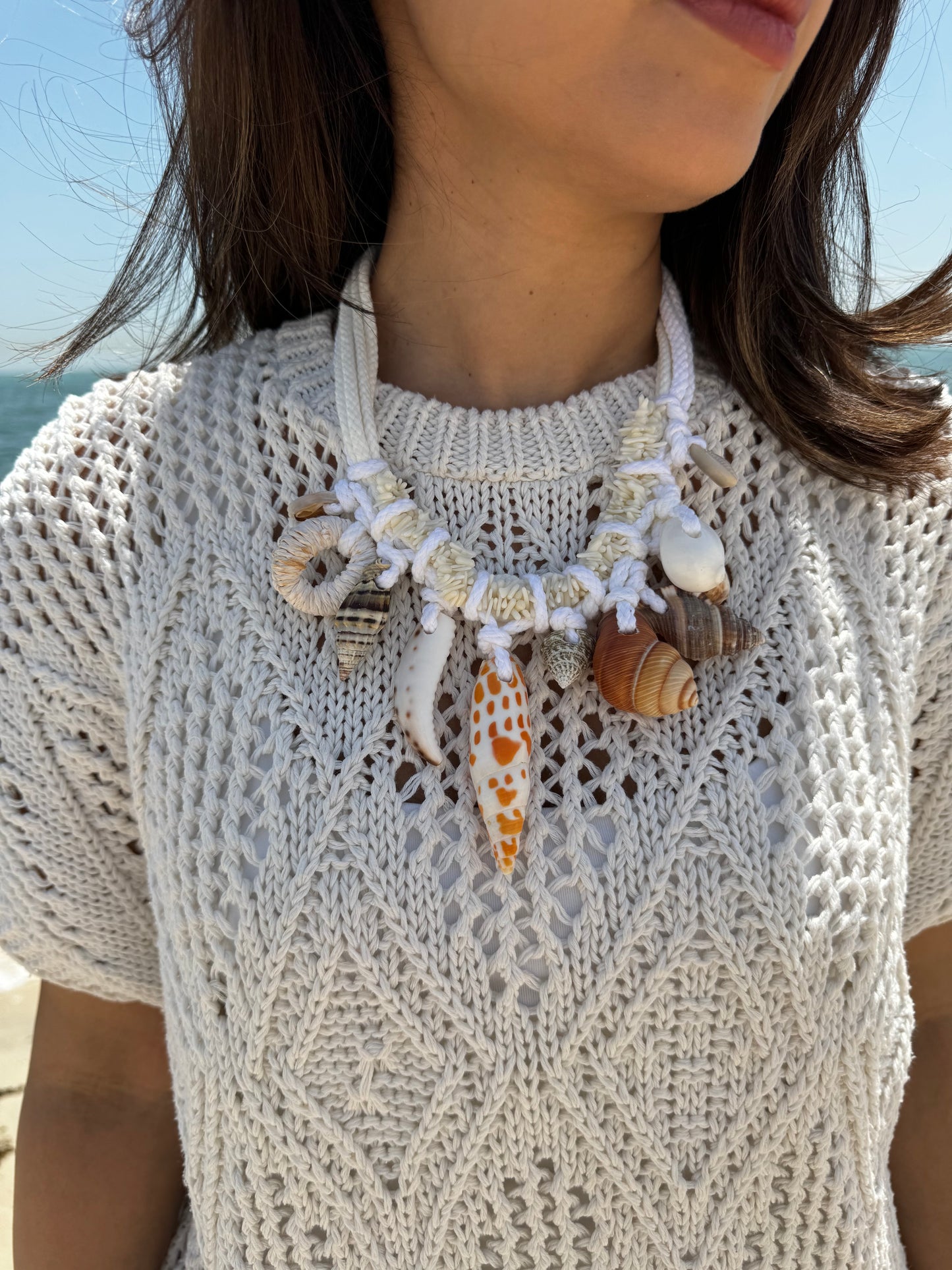 Shells 2
