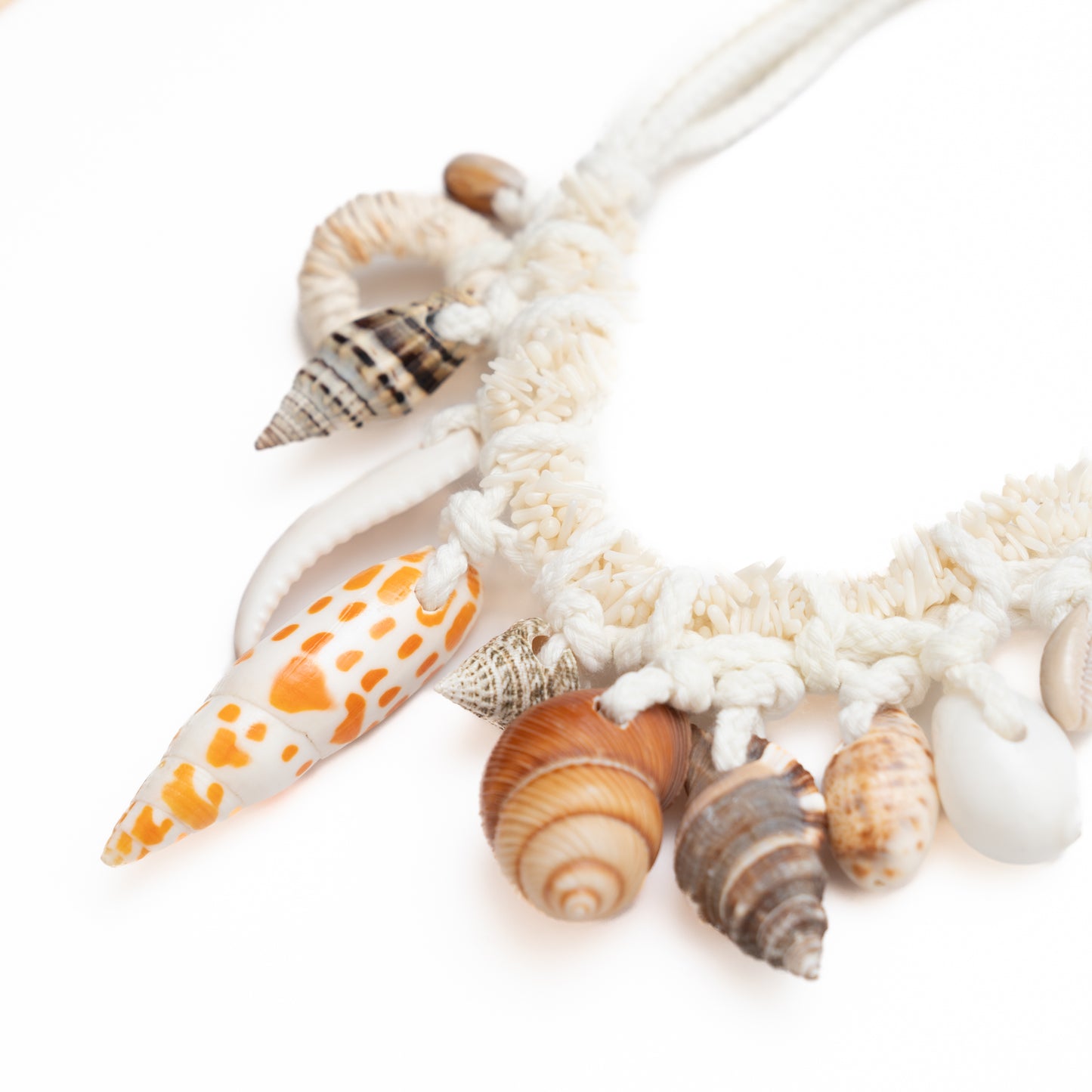 Shells 2