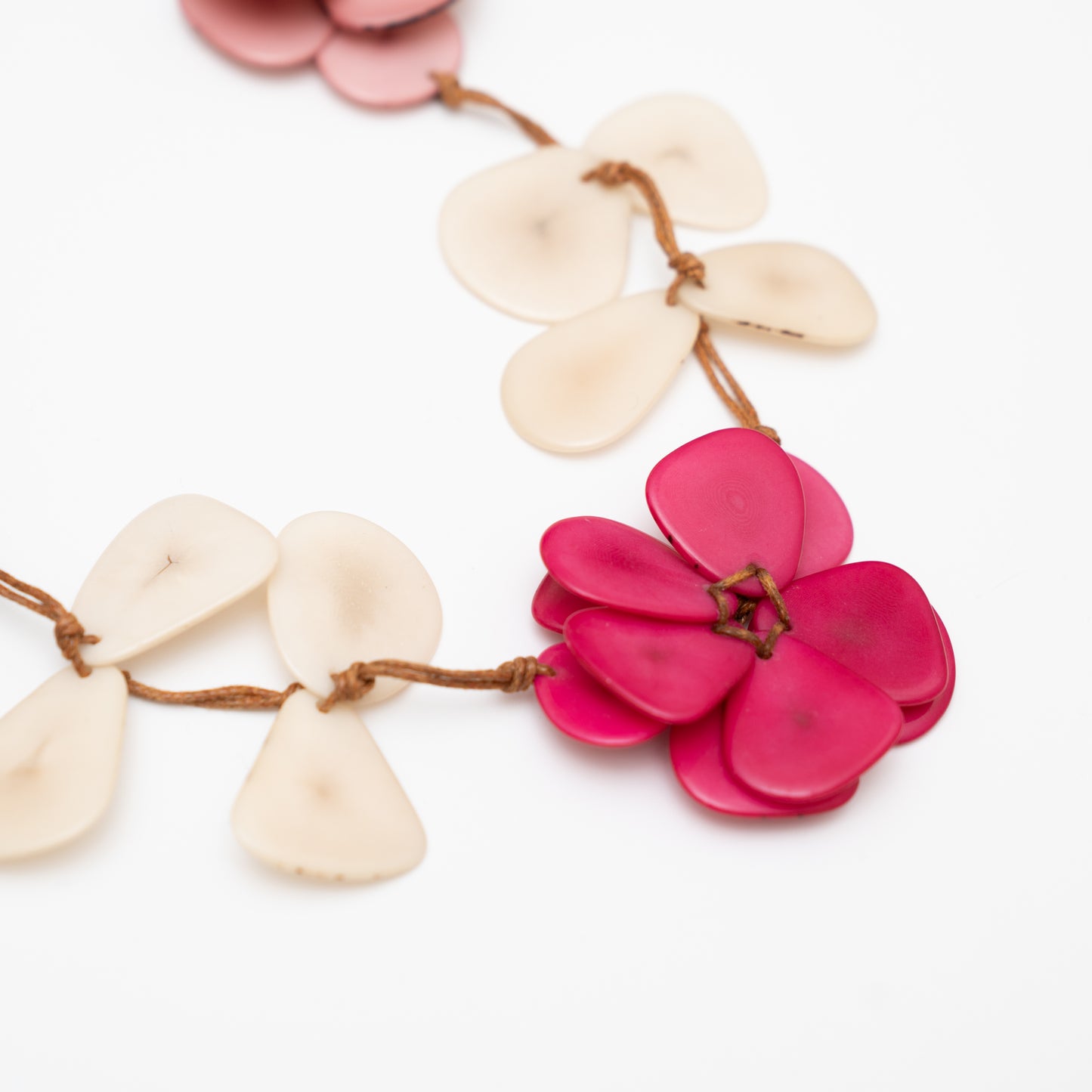 Pink flowers